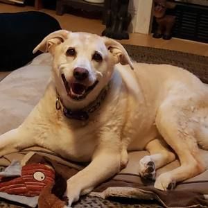 Meet your Posher, April